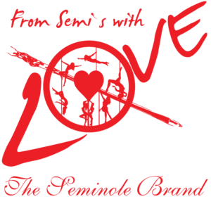 Logo Design by MISWA ART