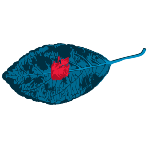 Rose bud and leaf convert to Vector | Vector Design by Abiyoso28