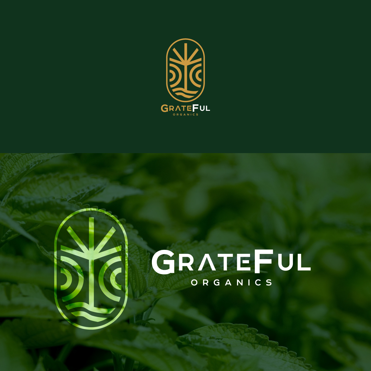 Design de Logo par DsgnStory® pour ce projet | Design #21541132