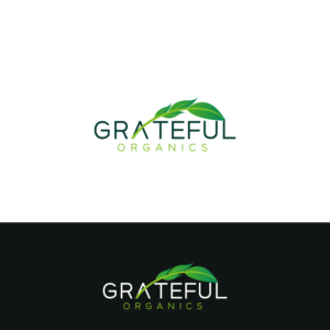 Logo Design by Vima_Designs