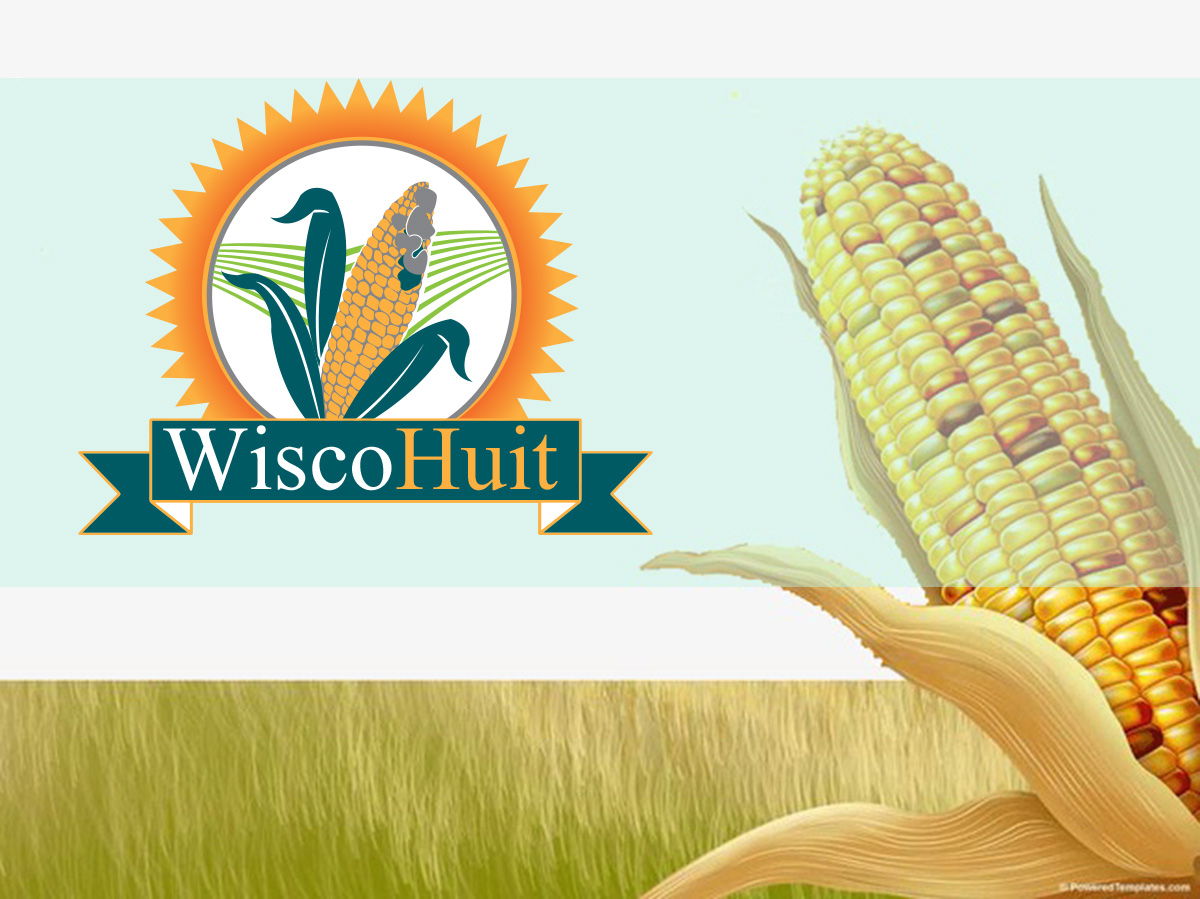 Logo Design by Wonderful design for this project | Design #21490621