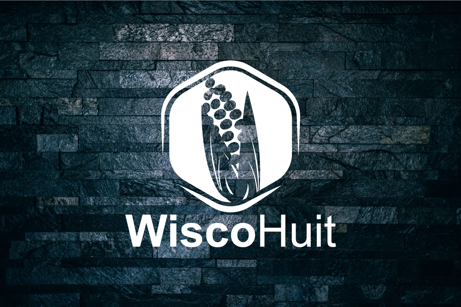 Logo Design by Rupok MT for this project | Design #21538334