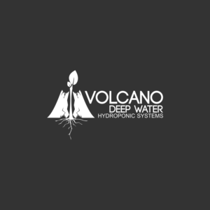 Logo Design by AlonkOphic
