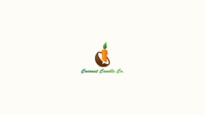Logo Design by VeezDesigns for Roto Wash | Design #21487185