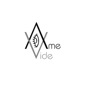 Ame Vide | Logo Design by Pv_999