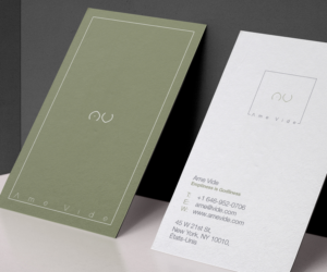 Ame Vide | Logo Design by ChicD