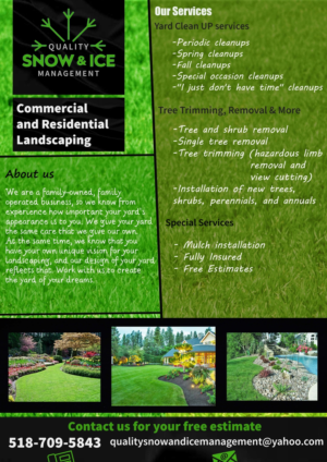 Flyer-Design von Niteesh Babu für Bumpys Polar Freeze, Inc. | Design #21498201