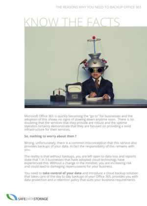 Safe Data Storage Office 365 Flyer | Flyer Design by Victor_pro