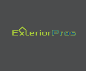 Logo Design by Dario 2