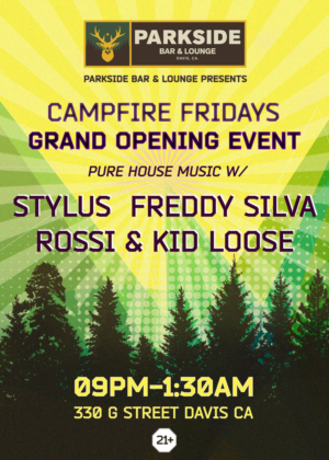 Flyer Design by cherry