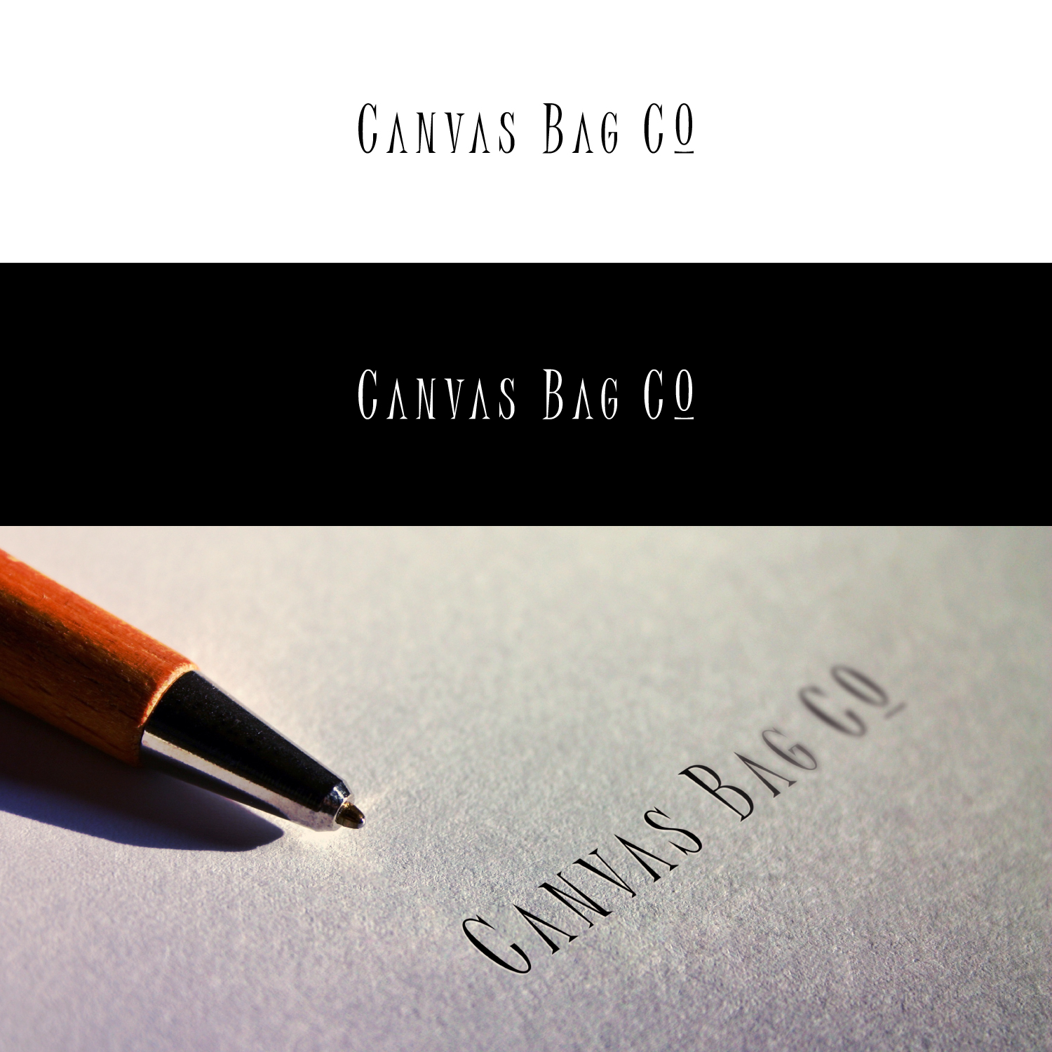 Logo Design by bcerblin for this project | Design #21507423