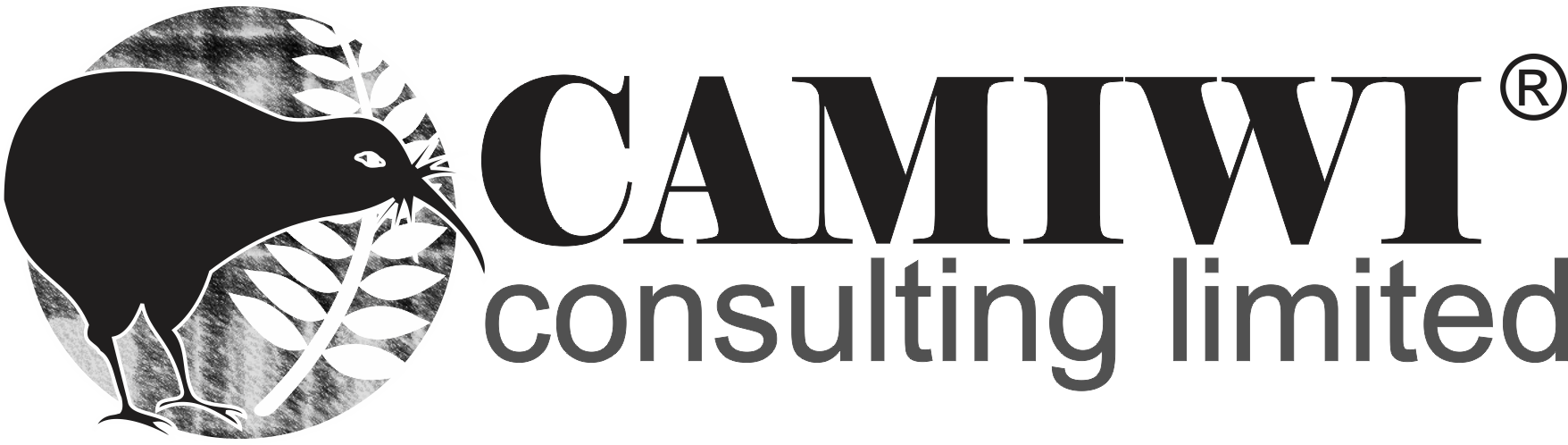 Diseño de Logo por rexvillarin para Camiwi Consulting | Diseño #21510886