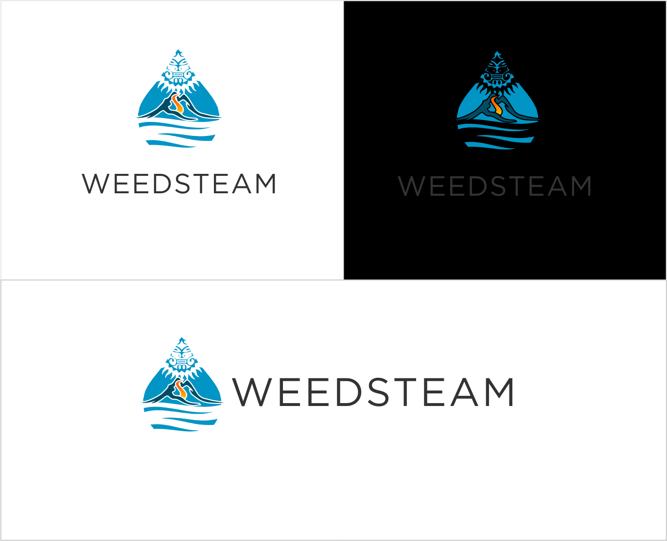 Logo Design by D/Art for Weedsteam Inc | Design #21519767