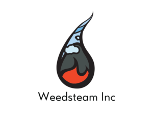 Logo Design by SubtleFlow