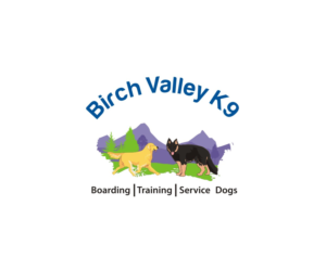 Logo Design by Falguni