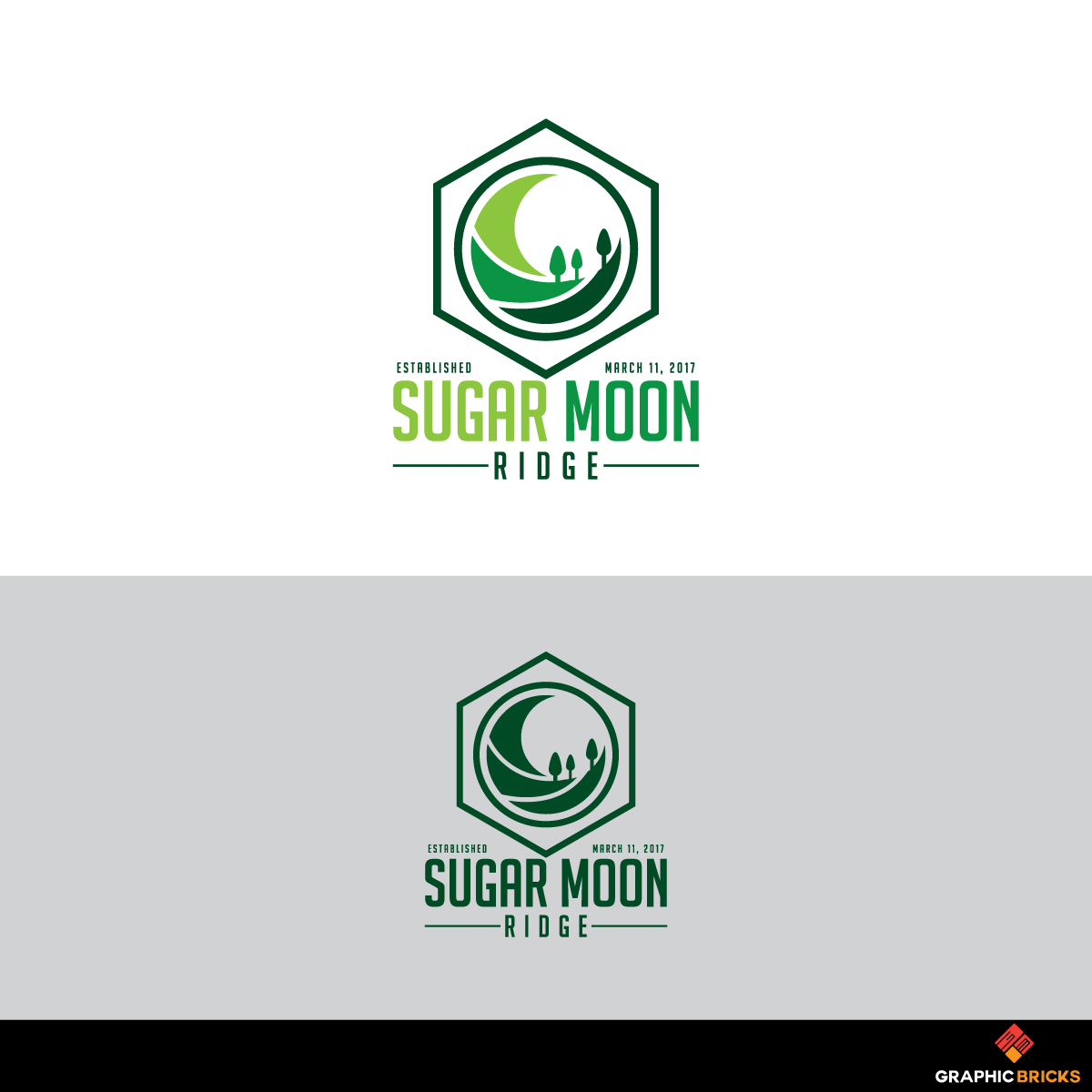 Logo Design by Graphic Bricks for this project | Design #21518742