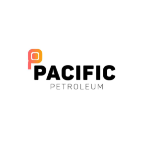 Logo Design by razi meem