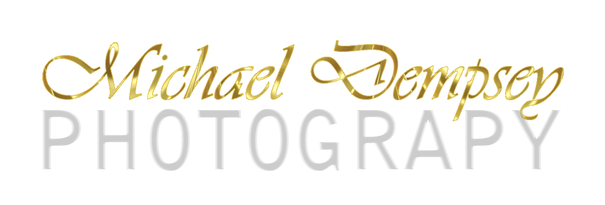 Logo Design by anaella98 for this project | Design #21529049