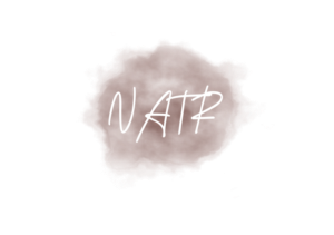 Logo Design by EvaLogo for NATR Health & Beauty | Design: #21535105