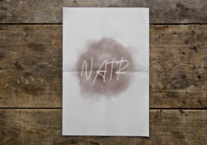 Logo Design by EvaLogo for NATR Health & Beauty | Design: #21535106