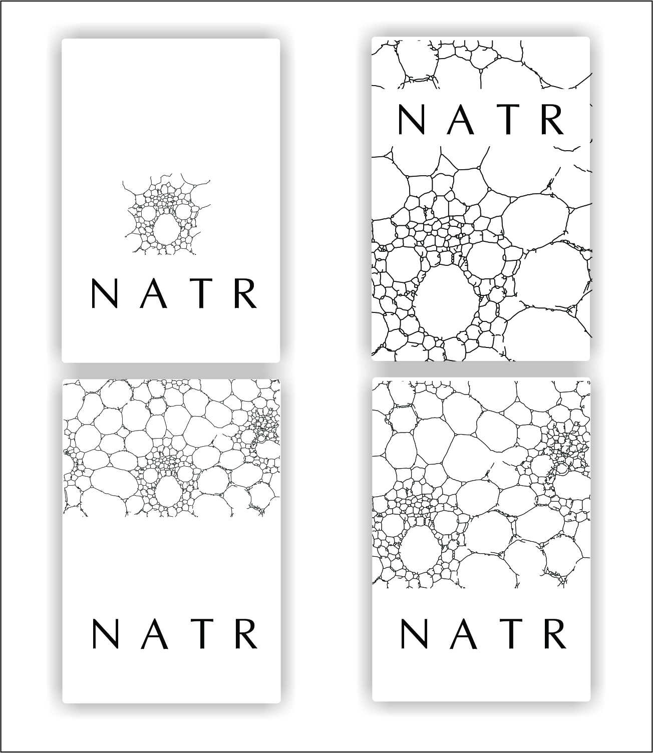 Logo Design by art  X for NATR Health & Beauty | Design #21582025