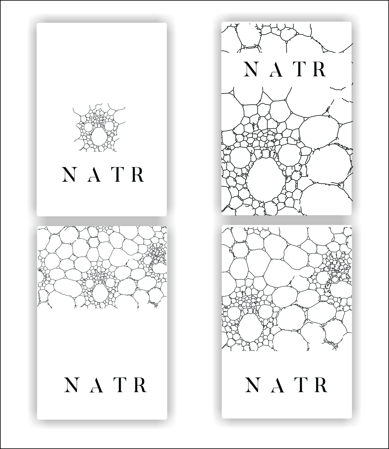 Logo Design by art  X for NATR Health & Beauty | Design #21586544