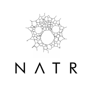 Logo Design by art  X for NATR Health & Beauty | Design: #21608495