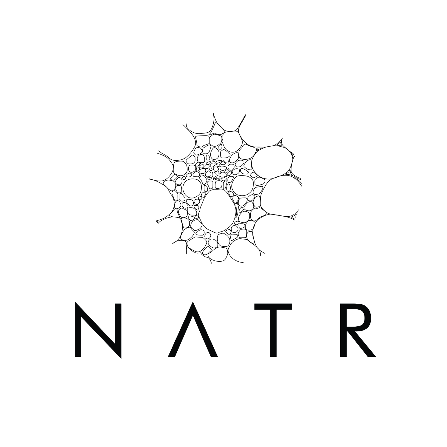 Logo Design by art  X for NATR Health & Beauty | Design #21610087