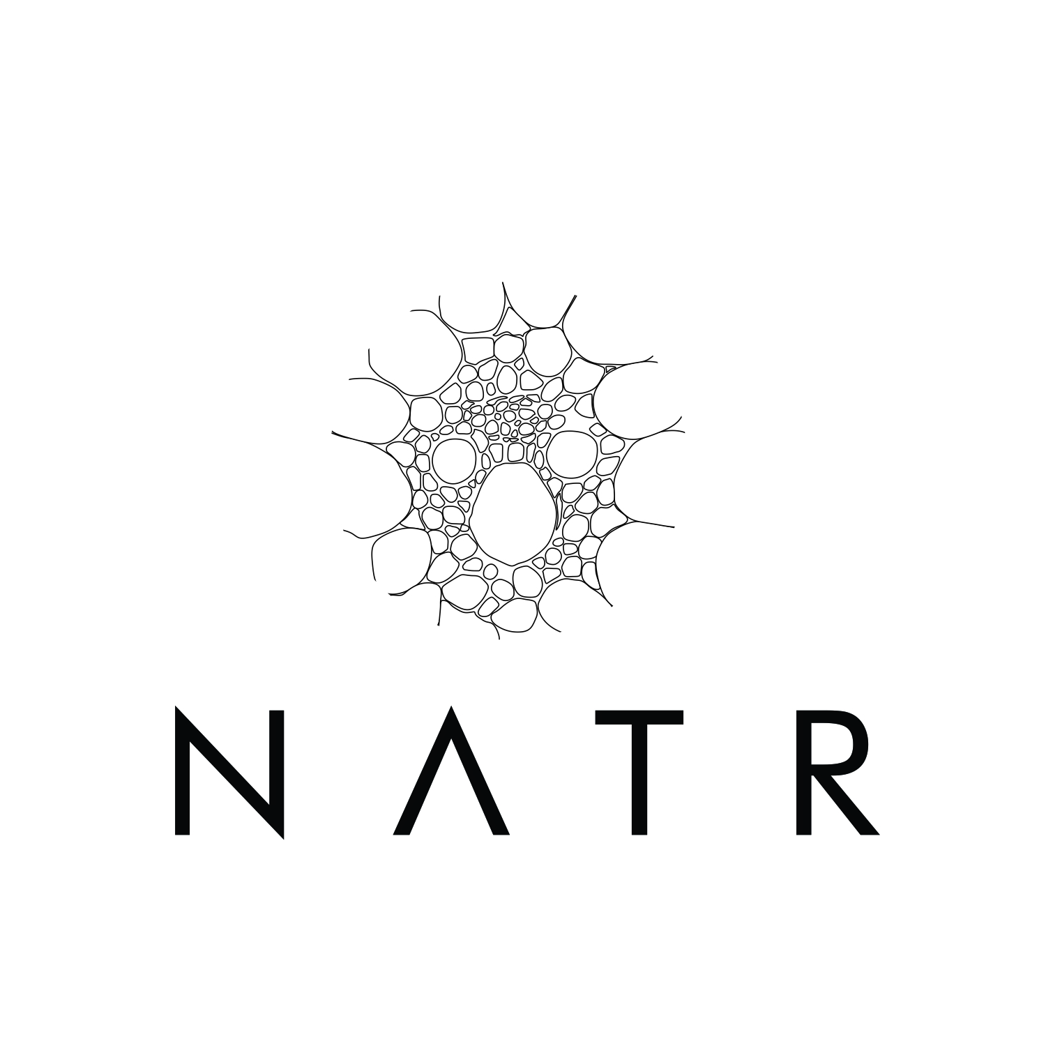Logo Design by art  X for NATR Health & Beauty | Design #21610245