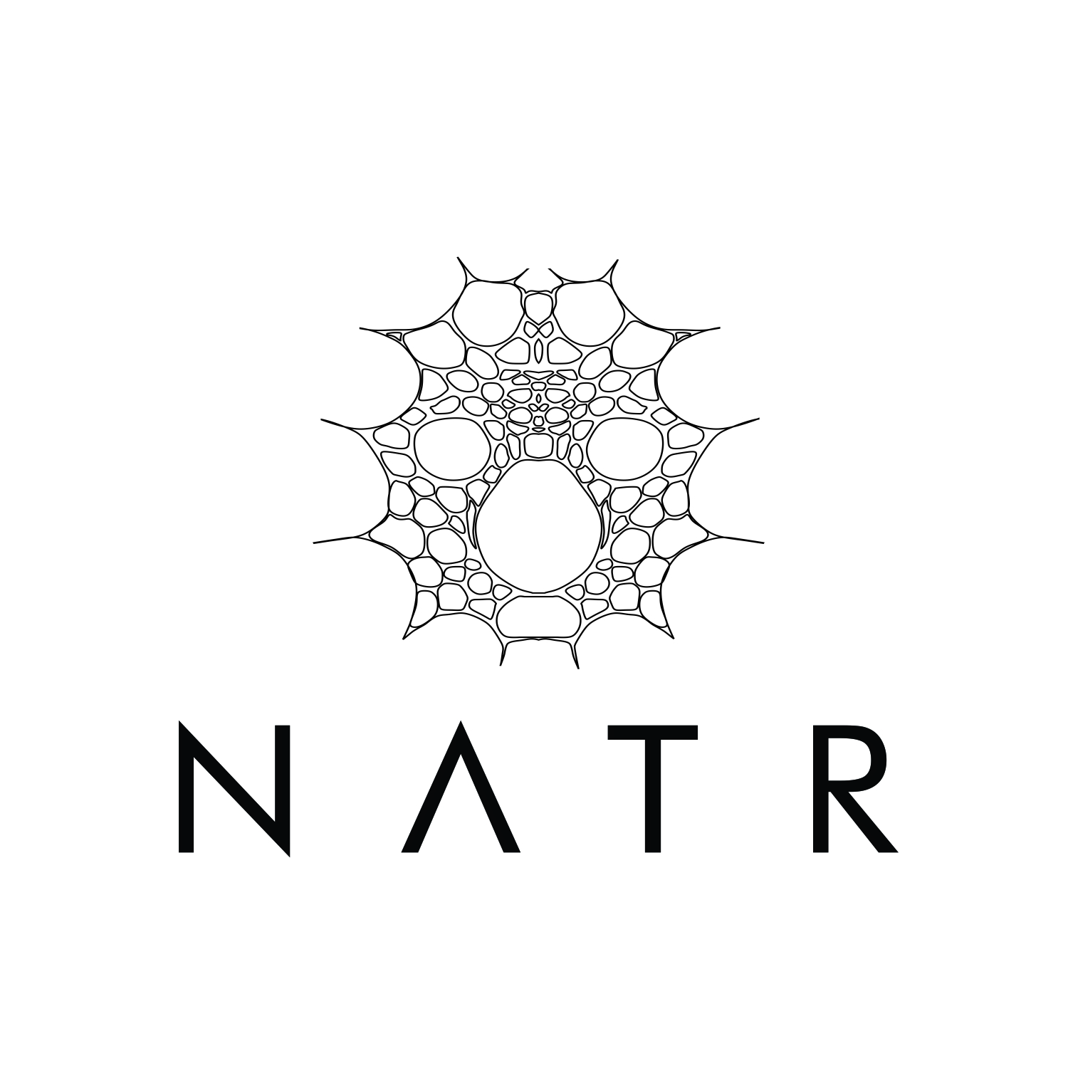 Logo Design by art  X for NATR Health & Beauty | Design #21610696
