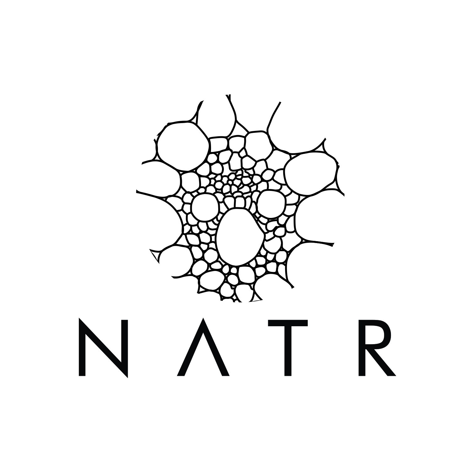 Logo Design by art  X for NATR Health & Beauty | Design #21611451