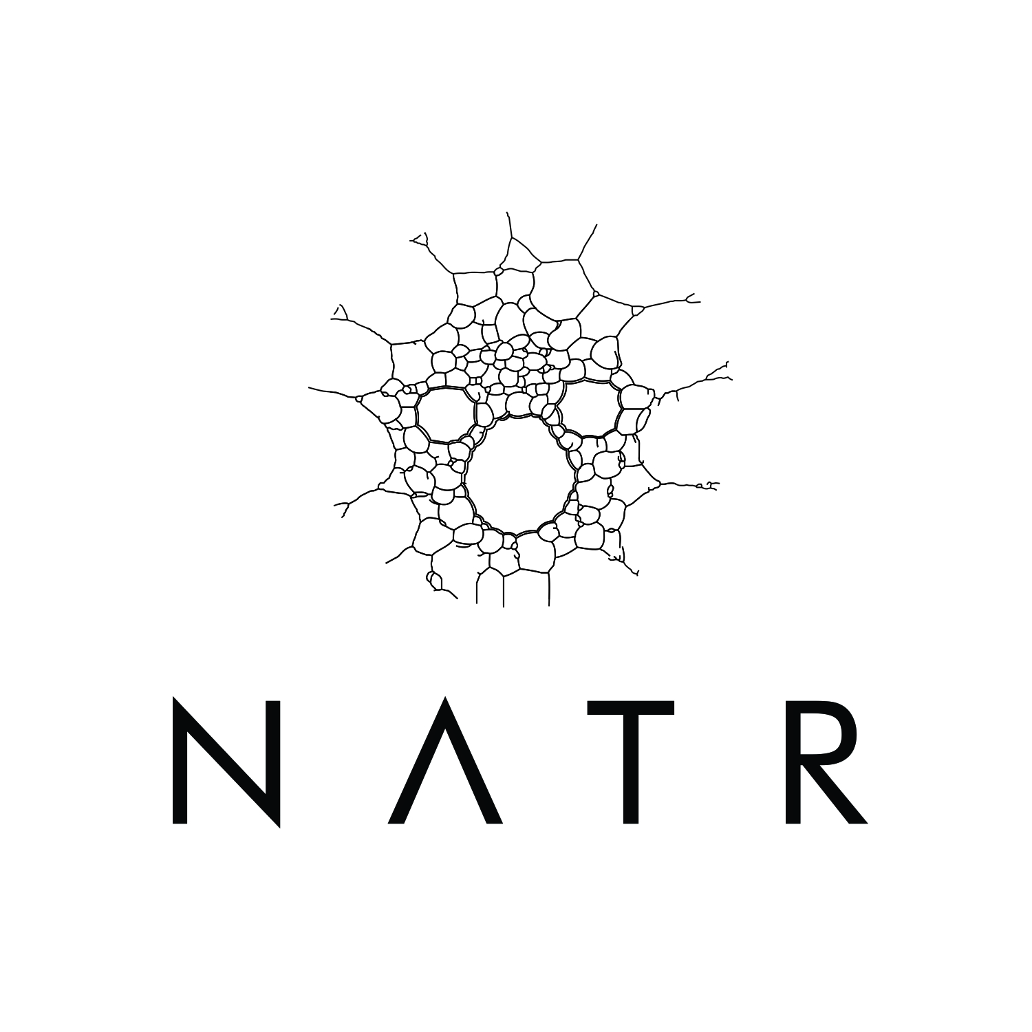 Logo Design by art  X for NATR Health & Beauty | Design #21613541