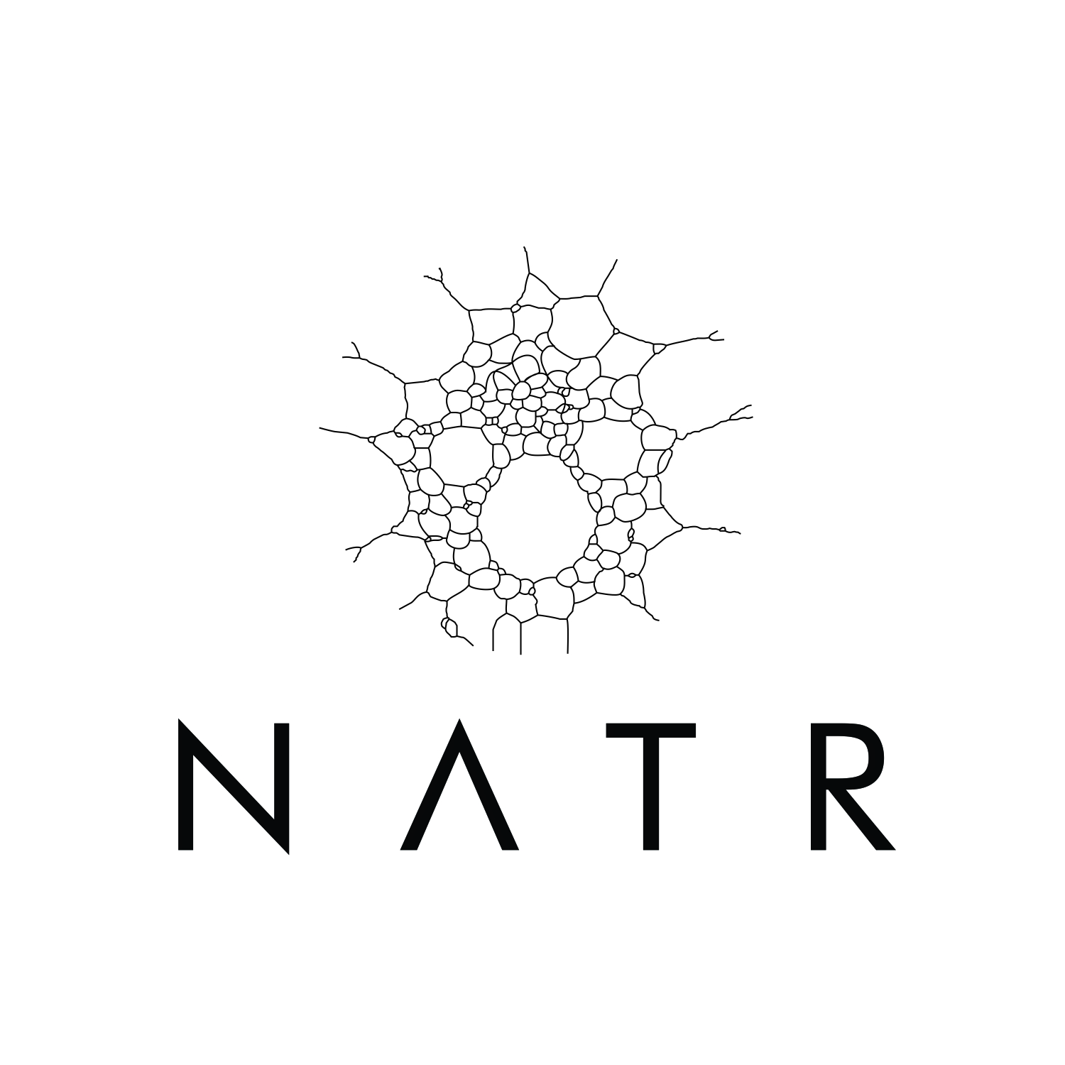 Logo Design by art  X for NATR Health & Beauty | Design #21616720