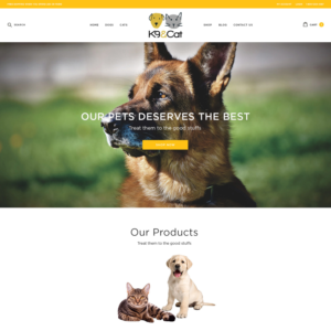 Shopify Design by Richard Tulio