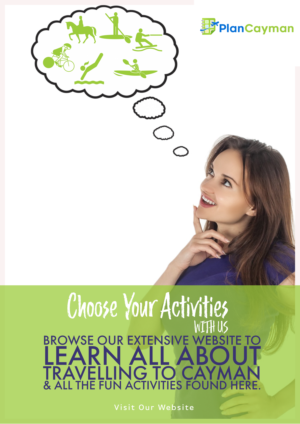 Illustration Design by Dream Canvas for this project | Design: #21541955