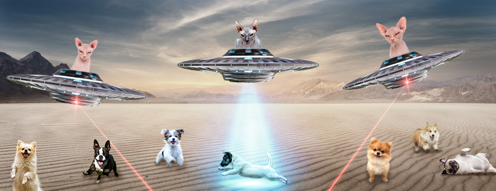 T-shirt Design by SAI DESIGNS for this project | Design #21546342