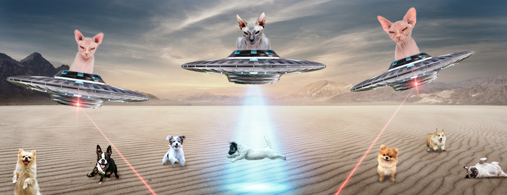 T-shirt Design by SAI DESIGNS for this project | Design #21559651