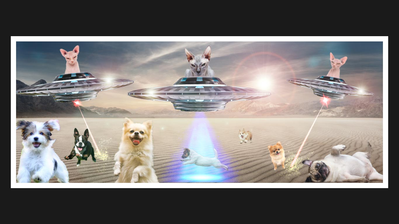 T-shirt Design by DRN Design for this project | Design #21546484