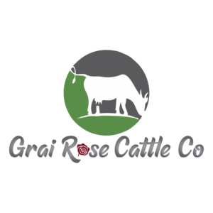 Logo Design by egal 3