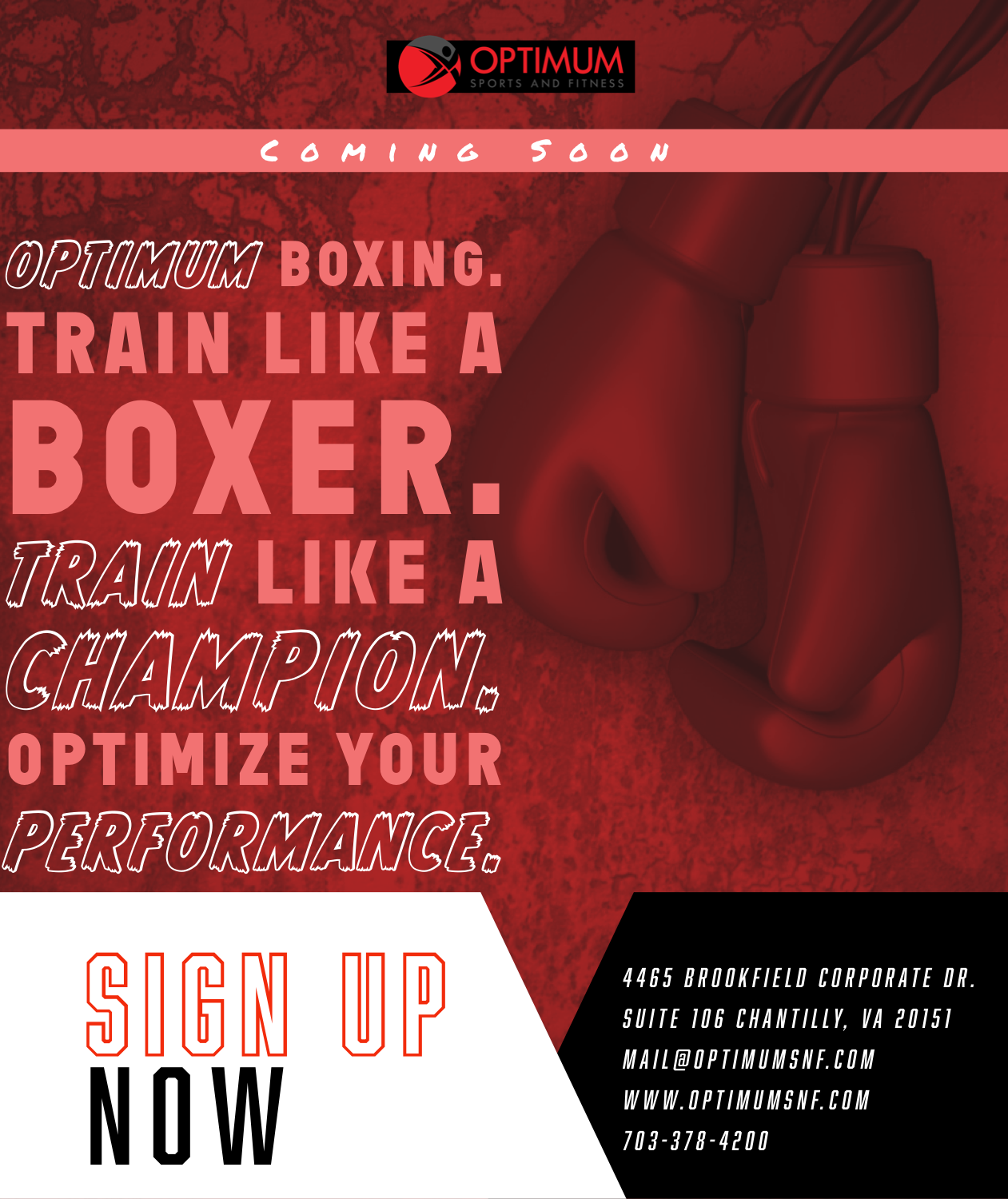 Diseño de Flyer por Dream Canvas para este proyecto | Diseño #21546314