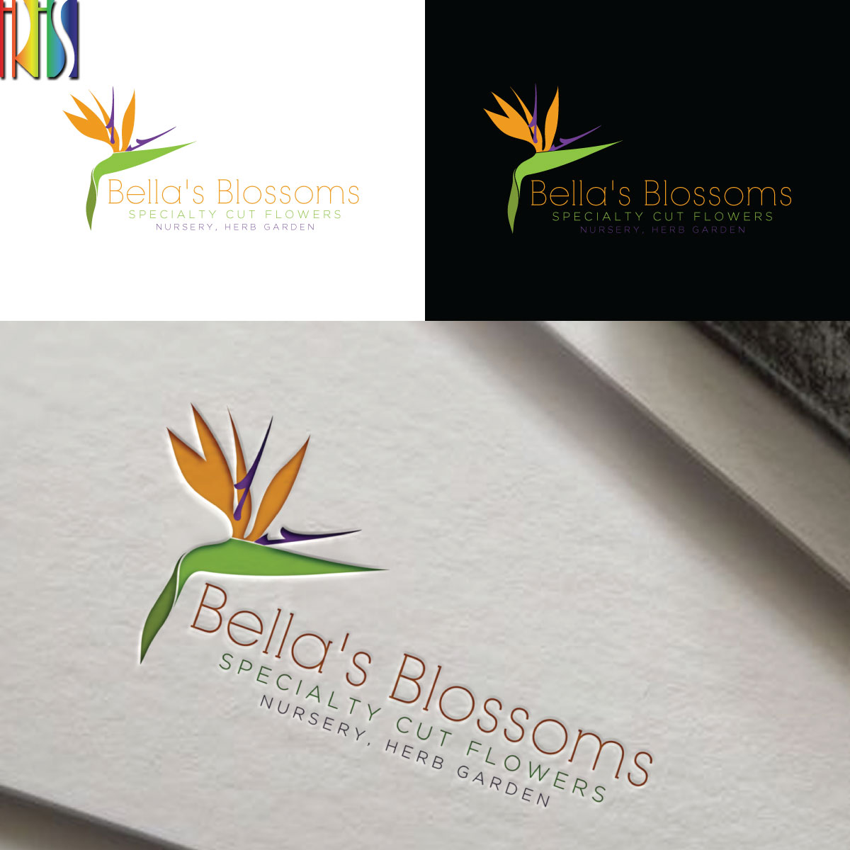 Logo Design by Iris 3 for this project | Design #21558083