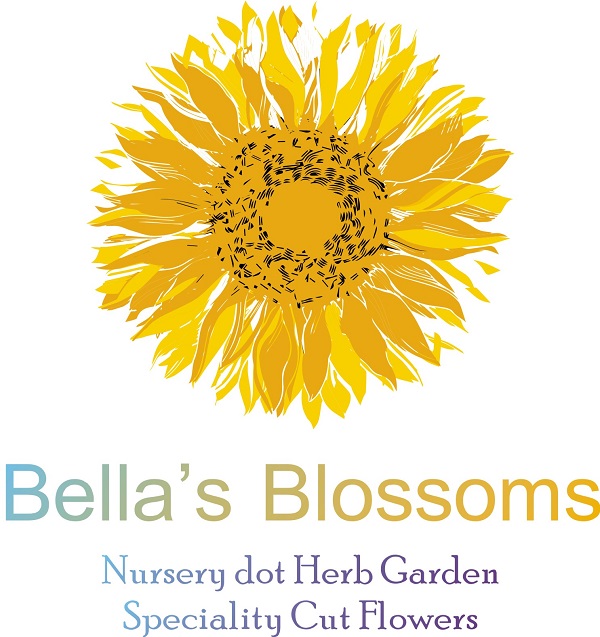 Logo Design by Natalia 9 for this project | Design #21560142
