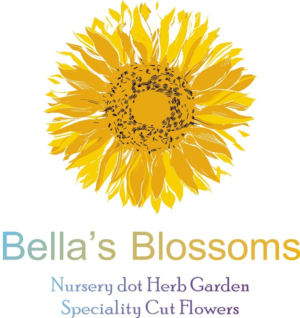 Logo Design by Natalia 9