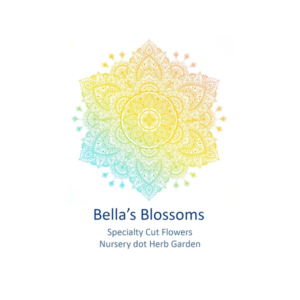 Diseño de Logo por Natalia 9 para este proyecto | Diseño: #21560143