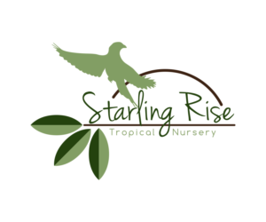 Logo Design by cheandriehuman23 for this project | Design: #21561773