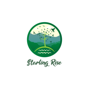 Logo Design by omarsunny6