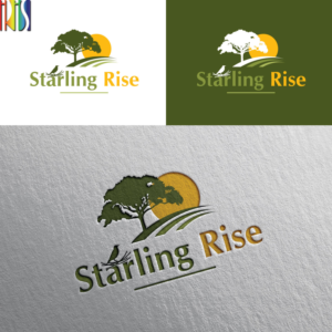 Logo Design by Iris 3