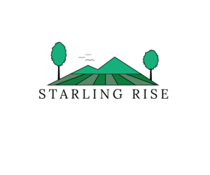 Logo Design by Dario 2 for this project | Design: #21605061