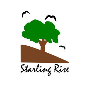Logo Design by Tovlis