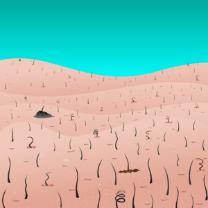Illustration Design by BC Arts
